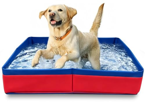 Faltbar Hundepool,Katzen Pool 50×50cm,Schwimmbad für Hund,Hunde Planschbecken für Haustiere,Faltbarer PVC Hundepool für Kleine Hunde,Schwimmbecken,Mini Pool für Katzen