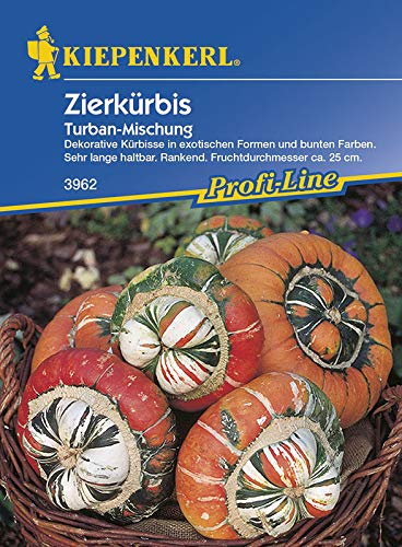 Kiepenkerl Zierkürbis Turbanmischung