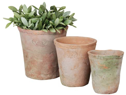 MAISONICA Set 3 Terracotta Planter Pots - Round Aged incl Drainage Holes