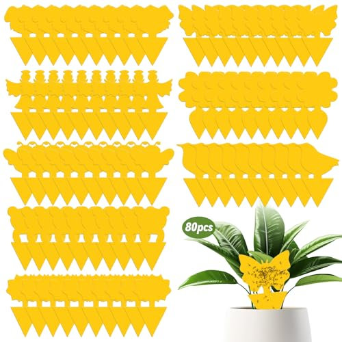 PQETBV 80 Pezzi Trappola Moscerini Frutta, Trappole per Moscerini, Trappola Adesiva