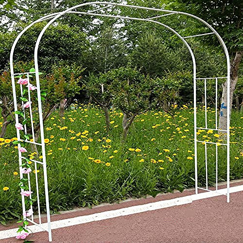 Pabellón de hierro de metal de 180 x 240 cm para plantas trepadoras, decoración de boda, enrejado redondo, perfecto para eventos y eventos