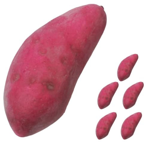 TOYANDONA 6stücke Teiliges Künstliche Süßkartoffel Modelle Realistisches Kunstgemüse Für Dekoration Fotografie Und Spielzeug Sicher Für Langlebig Und Leicht Lebensechte Nachbildung