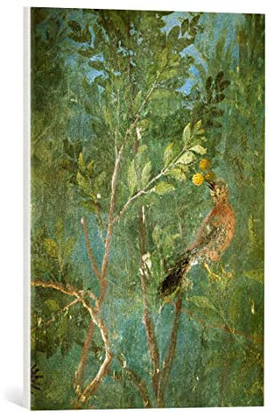 kunst für alle Leinwandbild: AKG Anonymous Vogel i Zitronenbaum Fresko Villa Livia - hochwertiger Druck, Leinwand auf Keilrahmen, Bild fertig zum Aufhängen, 40x55 cm