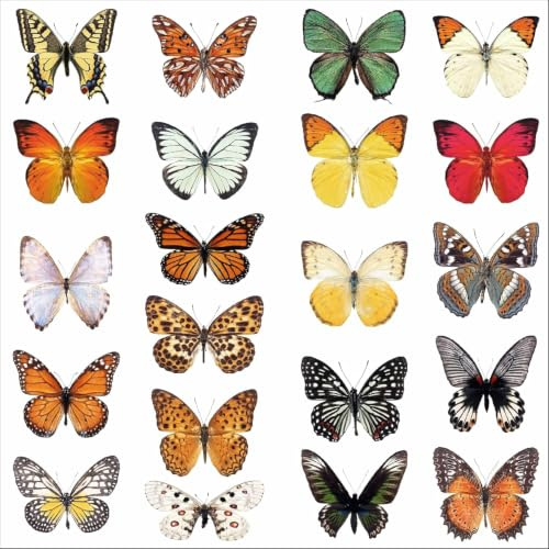 Schmetterling Fensteraufkleber zum Schutz vor Vogelschlag - 21 schöne Schmetterling Glassticker, doppelseitig und selbstklebend zum Schutz vor Vogelkollisionen