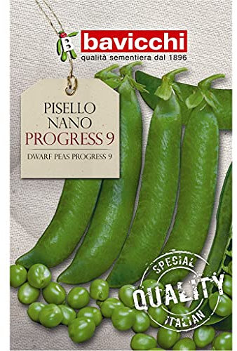 Bavicchi semi Pisello nano Progress9 500g