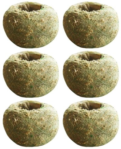 Set Di 2 Vasi Di Muschio Verde Per Bonsai Fioriera Creativa Per Piante Grasse Da Vasi Decorativi Per Casa E Ufficio