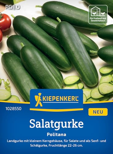 Kiepenkerl Salatgurke Politana 1028550 – Gurkensamen für Freiland & Beet, bitterfreie Schnitt- & Schälgurke, robuste Landgurke, mehltauresistent, Früchte 22–26 cm, hoher Ertrag