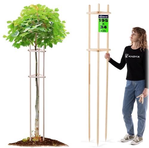 KADAX Support pour arbre de 195 cm en bois robuste, pieu pour arbre pour une fixation sûre des jeunes arbres et arbustes, support pour plantes à trois pieds en bois de hêtre pour jardin