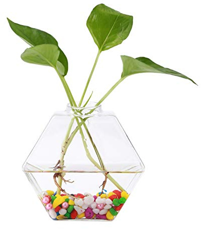 Hexagon Glass Wall Planter for Hanging Plants & Flowers Hydroponic Potted Vase, Modern Home Decor & Indoor Gardening Container