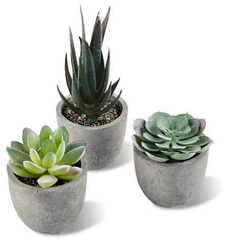 ALANGDUO Künstliche Sukkulenten im Topf, Mini Sukkulenten Künstliche, Kleine Kunstpflanze Wie Echt mit Topf, Dekorative Kunstpflanze für Hochzeit, Büro, Zuhause, Wohnzimmer, Badezimmer Dekoration