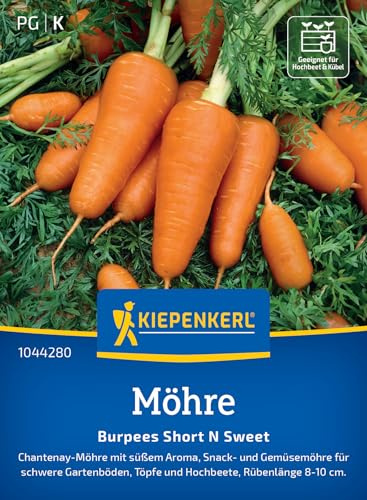 Kiepenkerl Möhrensamen Short 'N Sweet 1044280, Gemüsesaat | Gemüsesamen für Chantenay-Möhren, Inhalt für 8-10 laufende Meter, aromatisch
