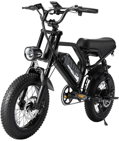 VDL Bicicleta Eléctrica para Adolescentes 16 x 3.0 Fat Tire, Ebike con Batería Extraíble 36V 13Ah, Frenos de Disco mecánicos Delanteros y Traseros, Pantalla LED