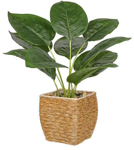 Hollyone 45CM Artificial Plants Rubber Plant Dieffenbachia in Woven Basket, Faux Plants Indoor Decorative Tropical Fake Plants, Aesthetic Room Décor Plants for Bedroom Office Home Desk Decoration