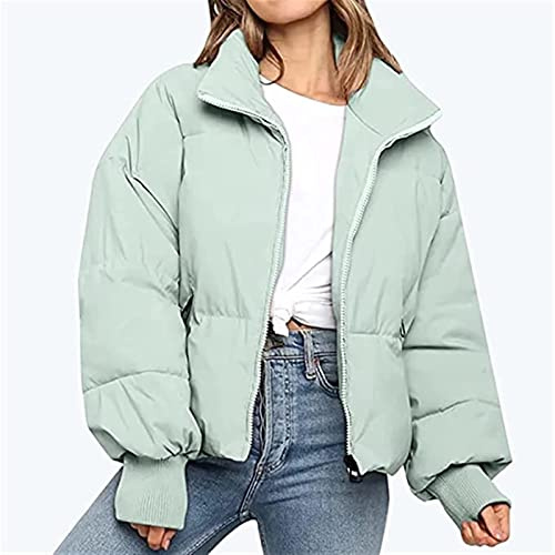 Sawmew Chaqueta De Invierno para Mujer, Chaqueta Acolchada Corta, Tallas Grandes, Cremallera, Hip-Hop, Chaquetas para Exteriores, A Prueba De Viento, Protección contra El Frío, Abrigo Corto (Color :
