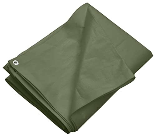 vidaXL Presenning 260 g/m² 6x8 m grön HDPE, markduk, campingduk, täckning, markdukar, campingdukar, täckduk, täckdukar