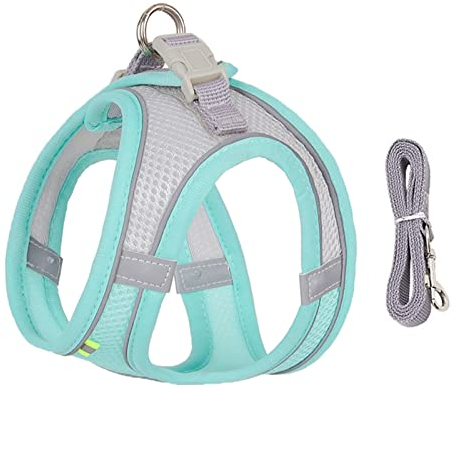 EUTYRG Haustier Hundegeschirr Hundegeschirr Leinen Set Für Kleine Hunde Verstellbar Welpen Katzengeschirr Weste Französische Bulldogge Chihuahua Mops (Cyan M 5_7kg)