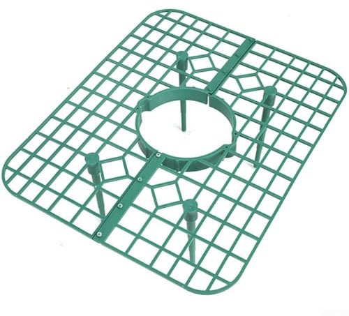Effective Water Management Strawberry Cultivation Rack 10PC Set for Healthy Plants (Green)