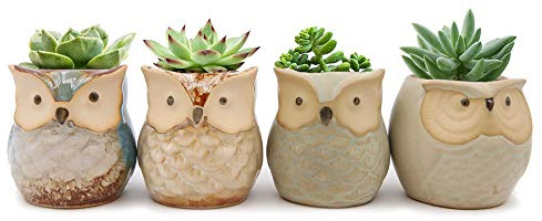Lot de 4 mini pots de fleurs en céramique avec motif chouette pour plantes succulentes et cactus