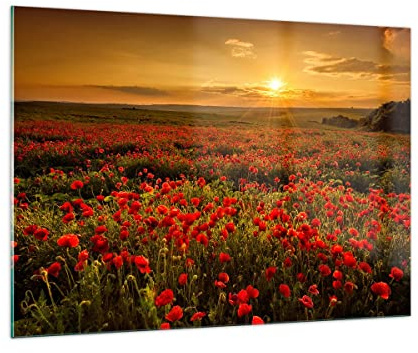 ARTTOR Glasbild 100x70cm Wandbild Glasdruck Botanik Landschaften - 3643 | Mohn Blume Wiese Groß Modern Dekoration Wohnzimmer Schlafzimmer Küche Wanddeko Kunstdruck Art Wall Decor ARTTOR