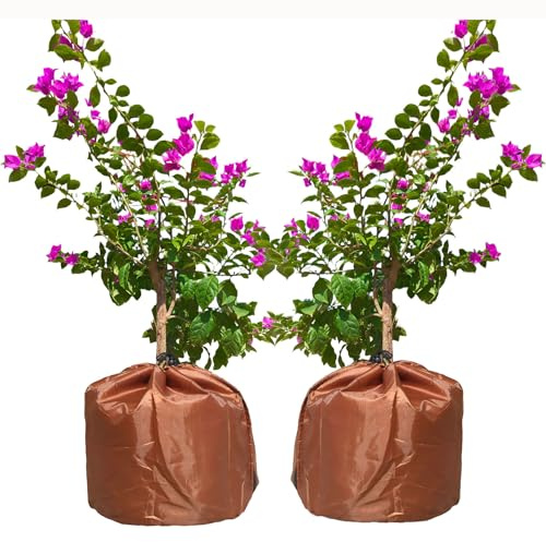 2 Voile Hivernage Plante Exterieur Pot, Housses de Protection pour Plantes en Pot, Thermo Sac Hivernage Protection Pot de Fleur Hiver Protection Hivernale pour Citronniers palmiers (2pcs 65 X70cm)