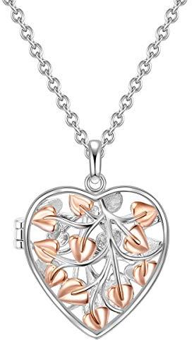 Rafaela Donata Damen-Kette mit Anhänger Herz Fairy Locket Sterling Silber 925 bi-color rosegold - Silber-Kette Herz-Medaillon Anhänger Herz