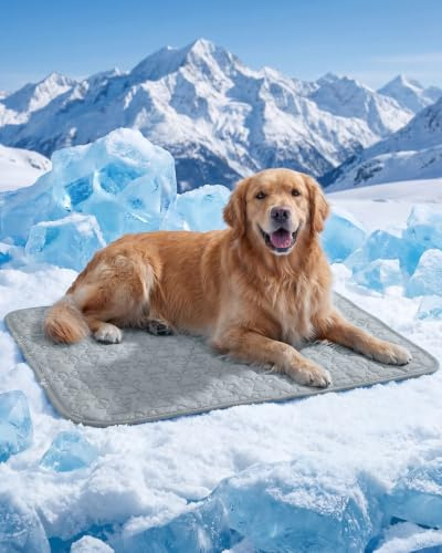 Rgaden Hundematte für Hunde, waschbar, 100 x 70 cm, Grau