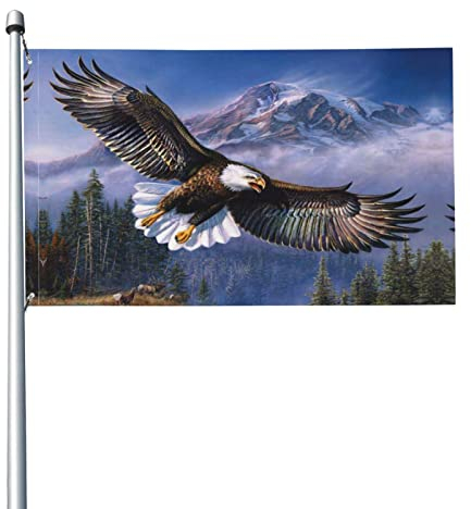 Flaggen Saisonales Große Flagge Outdoor Dekoration Fahnen Gartenflagge mit öse Hofbanner Lichtbeständig Rasenbanner Feiertagsdekoration Flagge Adler