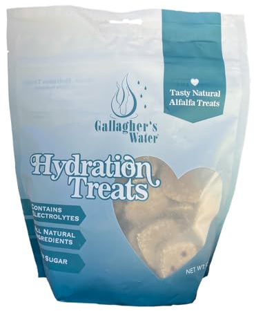 GALLAGHER'S WATER Hydration Treats for Horses. Crunchy Tasty Treats with Electrolytes. 12oz Bag