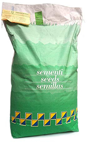 PRATO SOTTOFRUTTETO | Tappeto Erboso | Il Contadino (10 Kg)