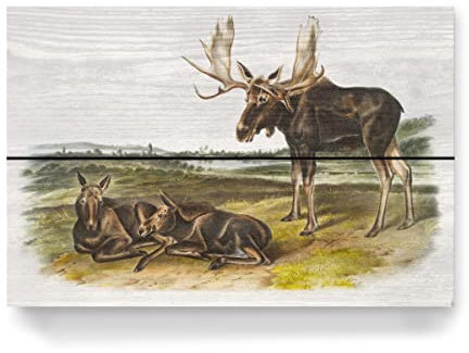 artboxONE Holzbild 30x20 cm Natur Elch Hirsch von Künstler Mango Art