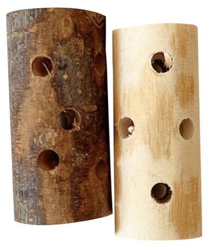 FIXOSHEE 2 pièces Bâtons à Mâcher Bois de Pommier Jouets pour Rongeurs Petits Animaux Hamsters Cochons Lapins Entretien Dents et Divertissement