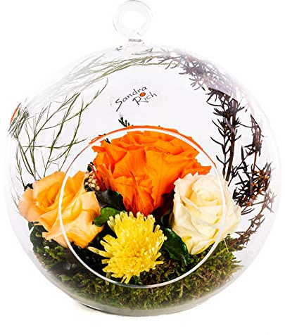 Rosen-Te-Amo |Infinity Blumen-Arrangement im hängenden Glas, handgefertigt, duftend Echte konservierte Rosen Geburtstagsgeschenk für Frauen Mama Freundin|Ewige Rosen zum Weihnachten, Valentinstag