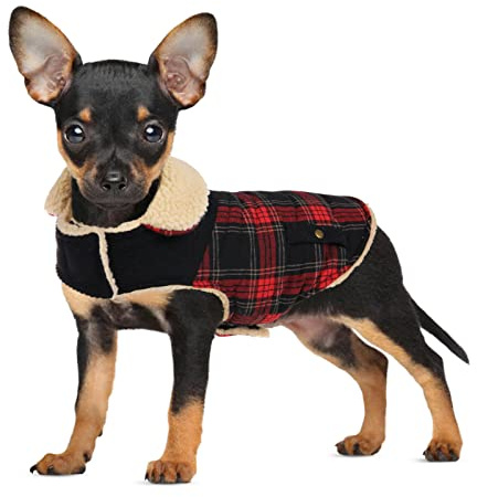 CITÉTOILE Warme Hundemantel Fleece mit Geschirrloch Rot M | Windschutz Hundejacke für Kleine/Große/Mittlere Hunde, Hundekleidung mit Bauchschutz für Outdoor & Indoor