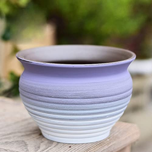 MYUYEE Mini Vaso in Ceramica Multicolore a Forma di Pollice carnoso Viola per Piante grasse con Foro di drenaggio Ideale per la Decorazione di Interni Ufficio,Viola