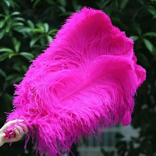 Lot de 10 plumes d'autruche roses pour travaux manuels, 15-70 cm, pour chapeaux, vases, centre de table, décoration de mariage, grand mât de 50 à 55 cm