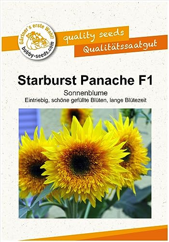 Blumensamen Starburst Panache F1 Sonnenblume Portion