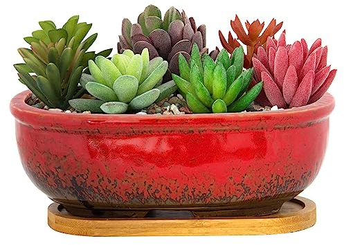 Vasi per piante grasse, lunghe 20 cm, rettangolari, con vassoio di drenaggio, fioriere poco profonde per piante da interno, vasi in ceramica smaltata, bonsai, fiori, piante per decorare il davanzale