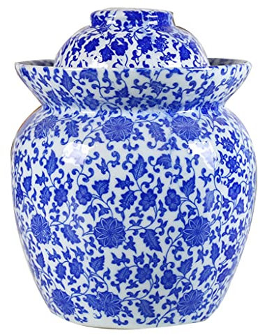 Barattoli tradizionali per la fermentazione, Cinese tradizionale Cinese tradizionale porcellana ceramica pentola di fermentazione sottaceto, vaso di fermentazione con coperchio gorgogliatore guarnizio