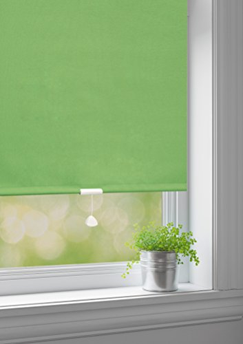 JalousieCrew Springrollo Classic Mittelzugrollo Schnapprollo Rollo Limone Blatt grün - Breite 60-220 cm Länge 180 cm und 230 cm Blickdicht Blickschutz (100 x 230 cm)