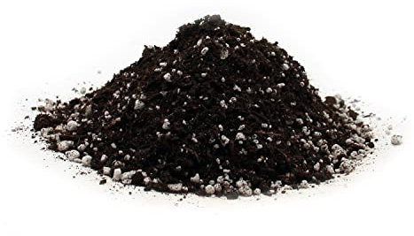 Clorophilla Terriccio piante carnivore - terra per pianta carnivora Dionea, torba substrato biologio per terreno e giardinaggio 5 Litri