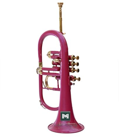 Flügelhorn 4 Ventile BB Pitch Premium Messing Qualität mit Hartschalenkoffer & Mundstück (PINK GOLD)