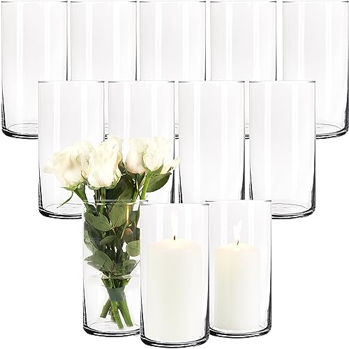 Giessle® 12 x 20cm große Glaszylinder als Vase Windlicht Zylinderglasvasen Zylindervase Kerzenglas Blumenvase aus Glas