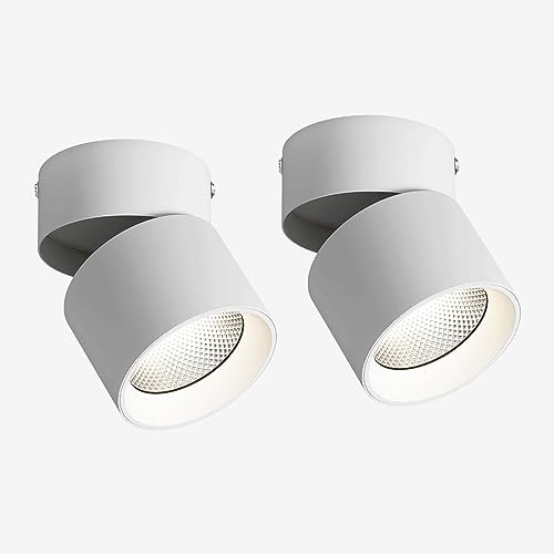 Elksdut LED Surface Mounted Spotlight Small Ceiling Spot Light, Adjustable Angle Rotation Directional Downlight Accent Lamps, Bedroom Drawing Room Gallery Spotlights Background Wall Porch Ceiling Ligh