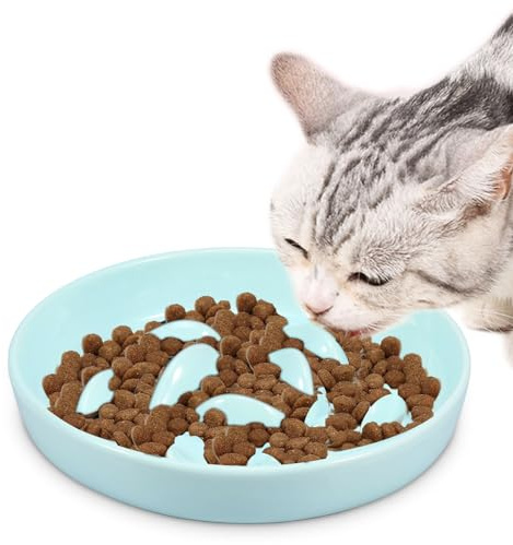 Gamelle anti-glissement en céramique pour chat - Gamelle pour chat - Nourriture lente - Gamelle pour chat - Ralentissement - Forme de poisson interactive - Gamelles pour chats et petits chiens
