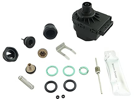 HTS - Heatline Boiler Diverter Valve Repair Kit & Actuator Motor (Part Numbers: 3003202082 & 3003200039)