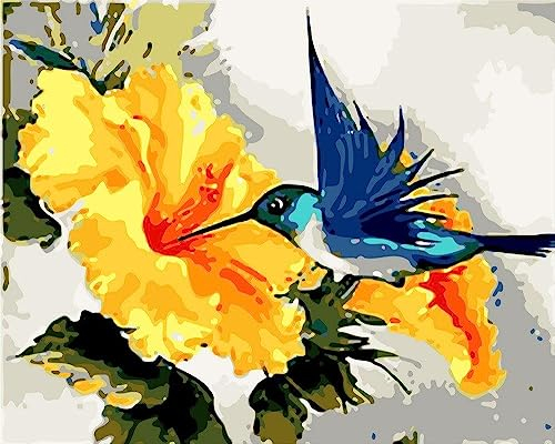 Artnapi Malen nach Zahlen Erwachsene mit Rahmen | DIY Handgemalt | Kolibris und Blumen | Kit für Anfänger und Erwachsene | Set inklusive Acrylfarben & Pinsel | 40x50cm Leinwand | Ideal als Geschenk