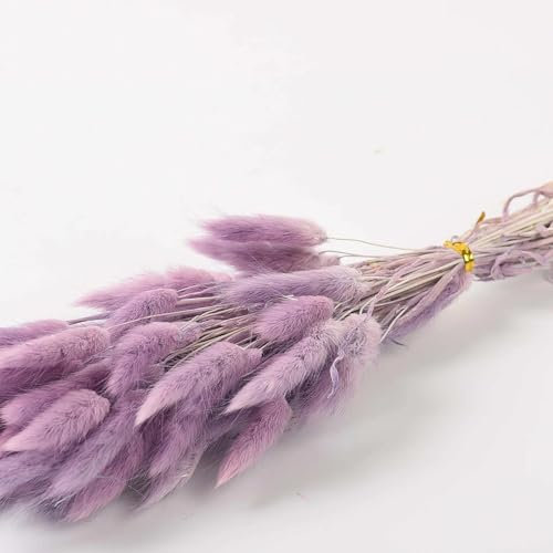 FOSANGPUSHI Fleurs séchées,50 pièces 35cm Naturel séché Herbe des Marais Queue de Lapin Herbe Fleur Branche fête Mariage Flores Bouquet décoration de la Maison Violet