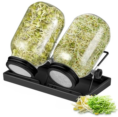 ecooe Sprossen - Juego de 2 tarros de cristal germinado para brotes de cristal con 1 cuenco de agua, 2 cubiertas de rejilla de filtro de acero inoxidable 304 y 2 soportes
