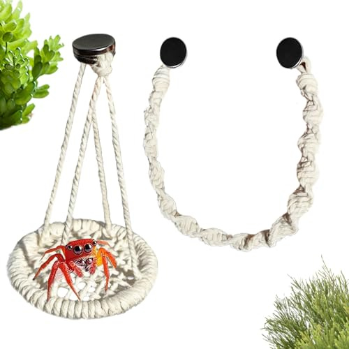 Springspinnen Dekorationsartikel | Aufhängbare Seilschaukel Für Terrarien | Dekoration Für Springspinnen,Für Geckos, Eidechsen, Einsiedlerkrebse Und Terrariumzucht Für Zuhause
