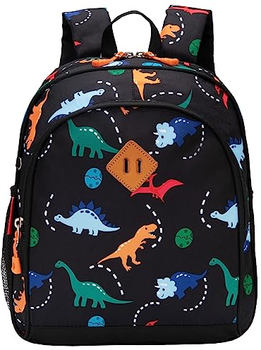 JinBeryl Little Kids Backpack, Toddler Boys School Bag, Fits 4 5 6 7 Years Old (Dinosaur Black)